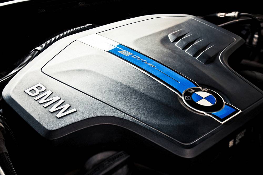 免费的午餐都有什么,免费的午餐真的是又香又好吃