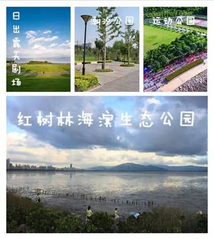 深圳的粉红花海,深圳中心公园藏着浪漫花海