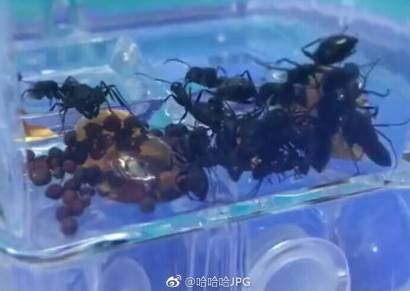 写给我男朋友的七夕送礼指南,分手了七夕送什么礼物挽留