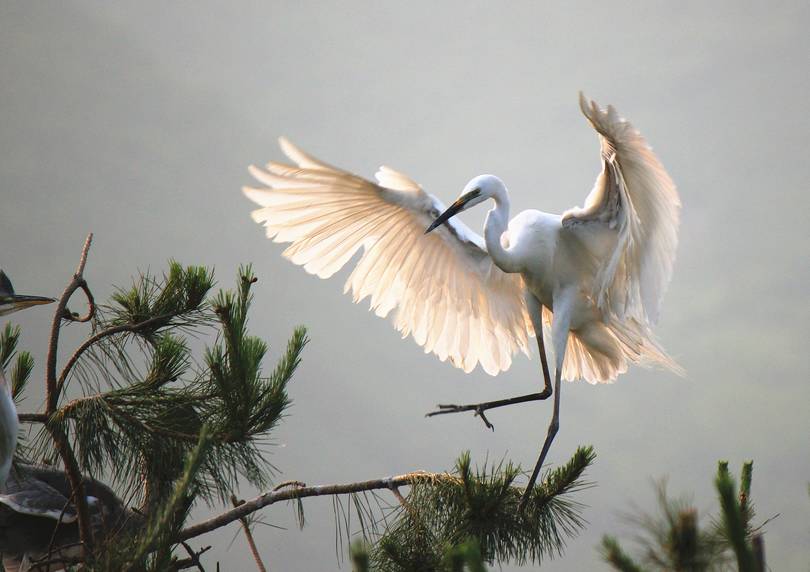 弓长岭风景的视频,弓长岭区夜景