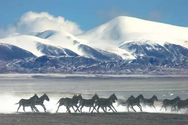 负负得正：接受负面情绪会让你更快乐｜小南早报
