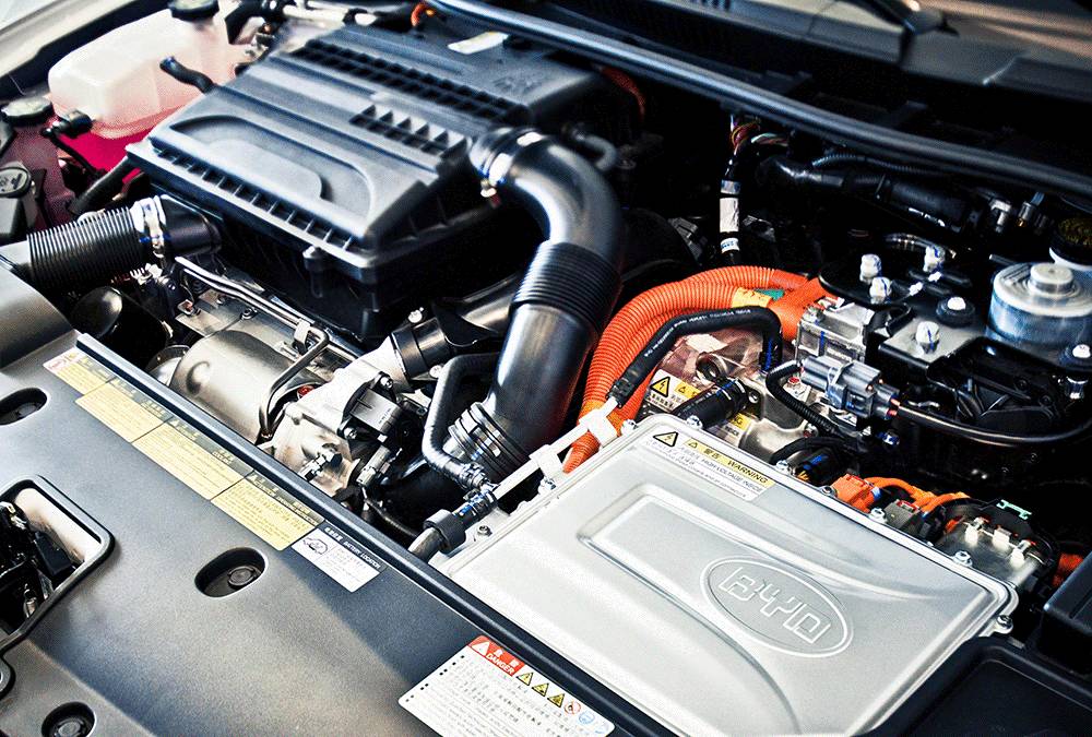 免费的午餐都有什么,免费的午餐真的是又香又好吃