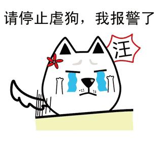 七夕节单身保平安,成都七夕节脱单圣地免费