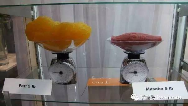 看了这些图片你还想减肥吗,想看看你们的健身减肥对比图