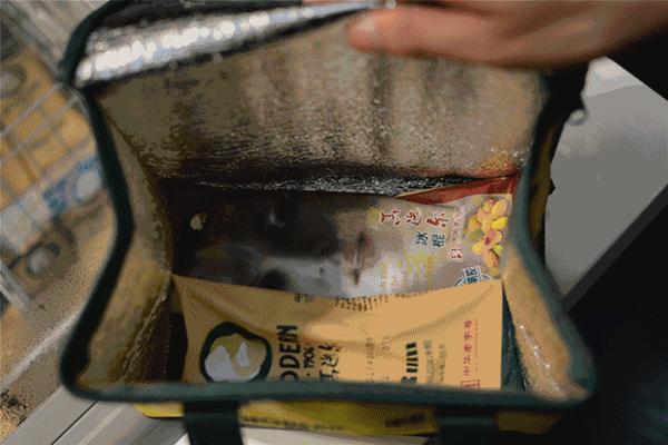 全国一年700家分店！这么丑的冰棍一周竟爆卖23W支！如今来温州啦~