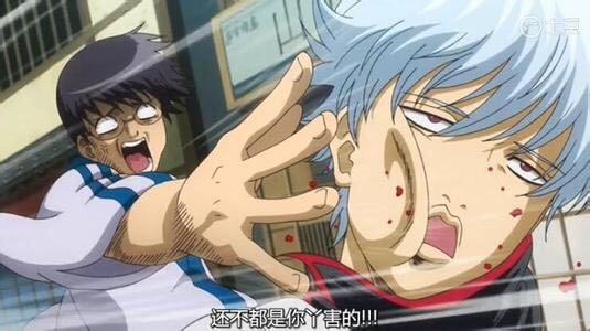 为什么说银魂是搞笑番,银魂最热梗盘点