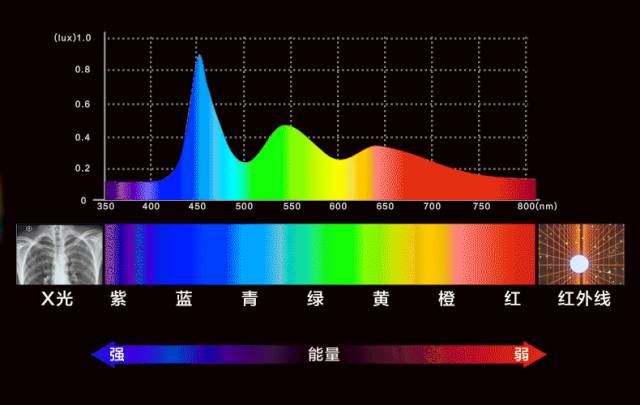 一个免费的新手运营神器,90%的人不知道的运营工具