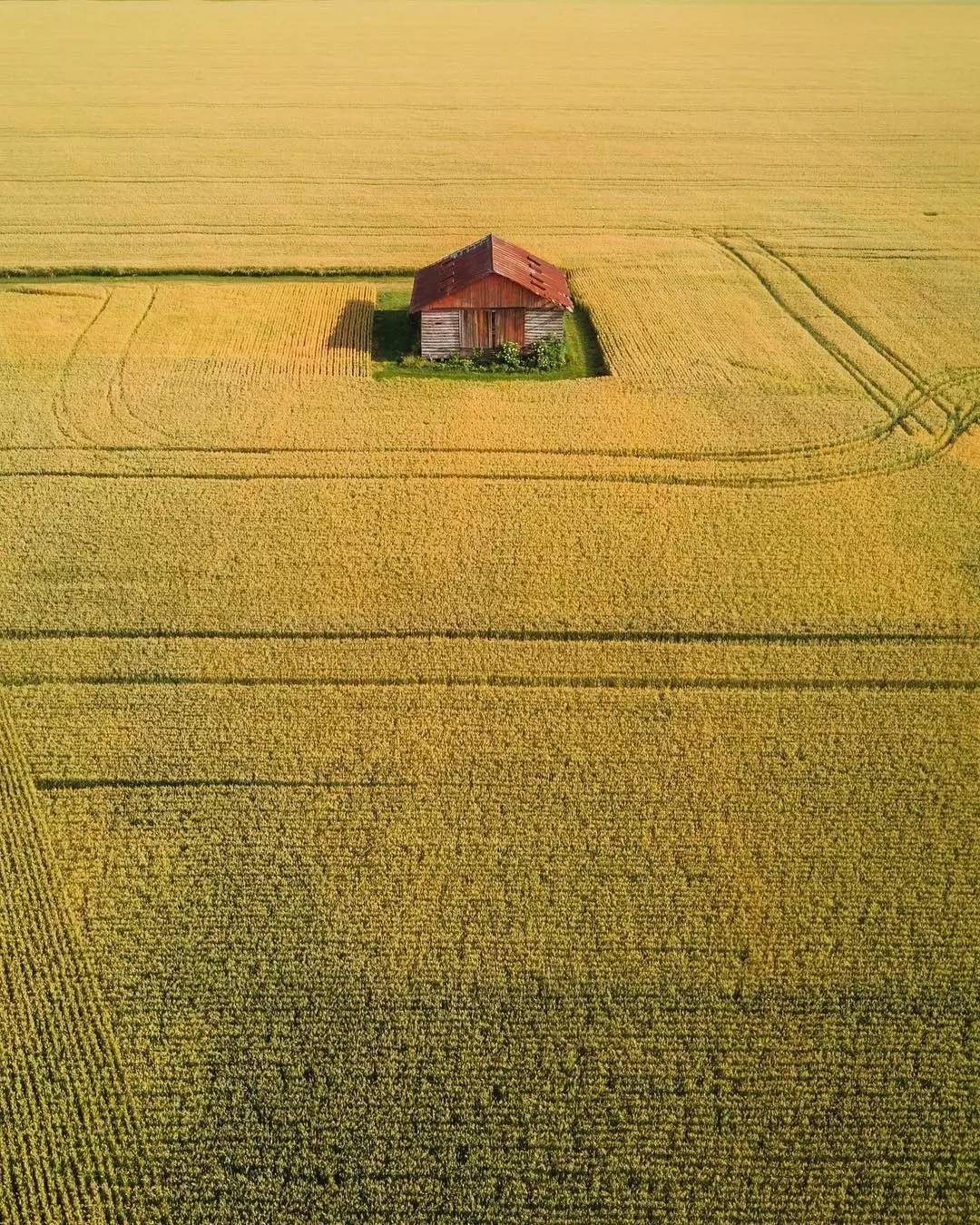 你有过被盗经历吗,你有过被盗图的经历吗