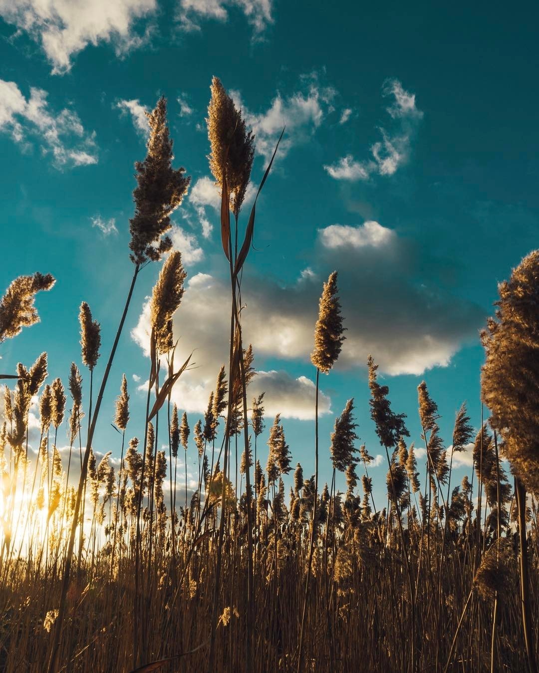 你有过被盗经历吗,你有过被盗图的经历吗