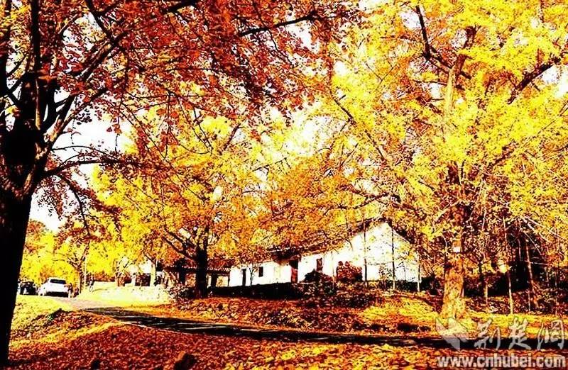 准备出发湖北导航原版,湖北7条最美骑行路线推荐