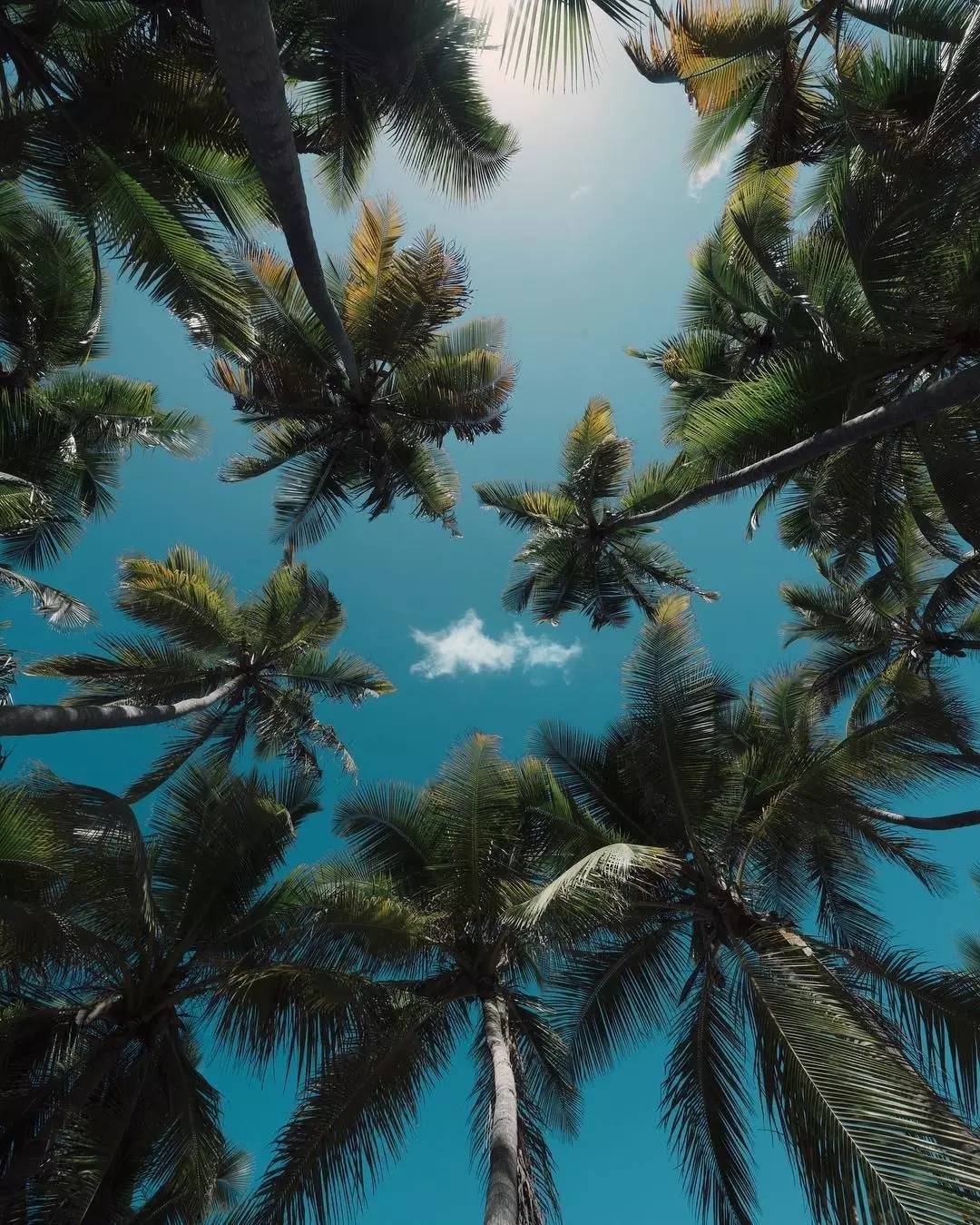 你有过被盗经历吗,你有过被盗图的经历吗