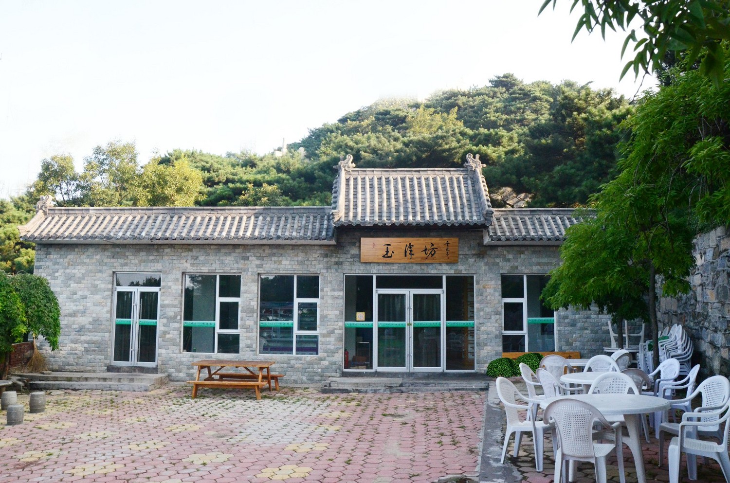 又是一年蒙山夜宿季