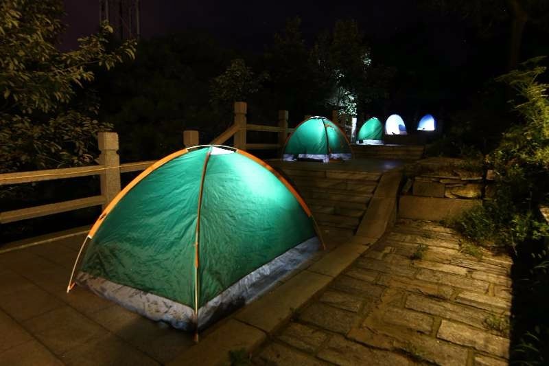 又是一年蒙山夜宿季