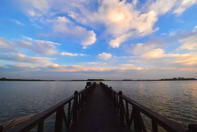 玉林妹子夺得金牌,广西玉林奥运选手