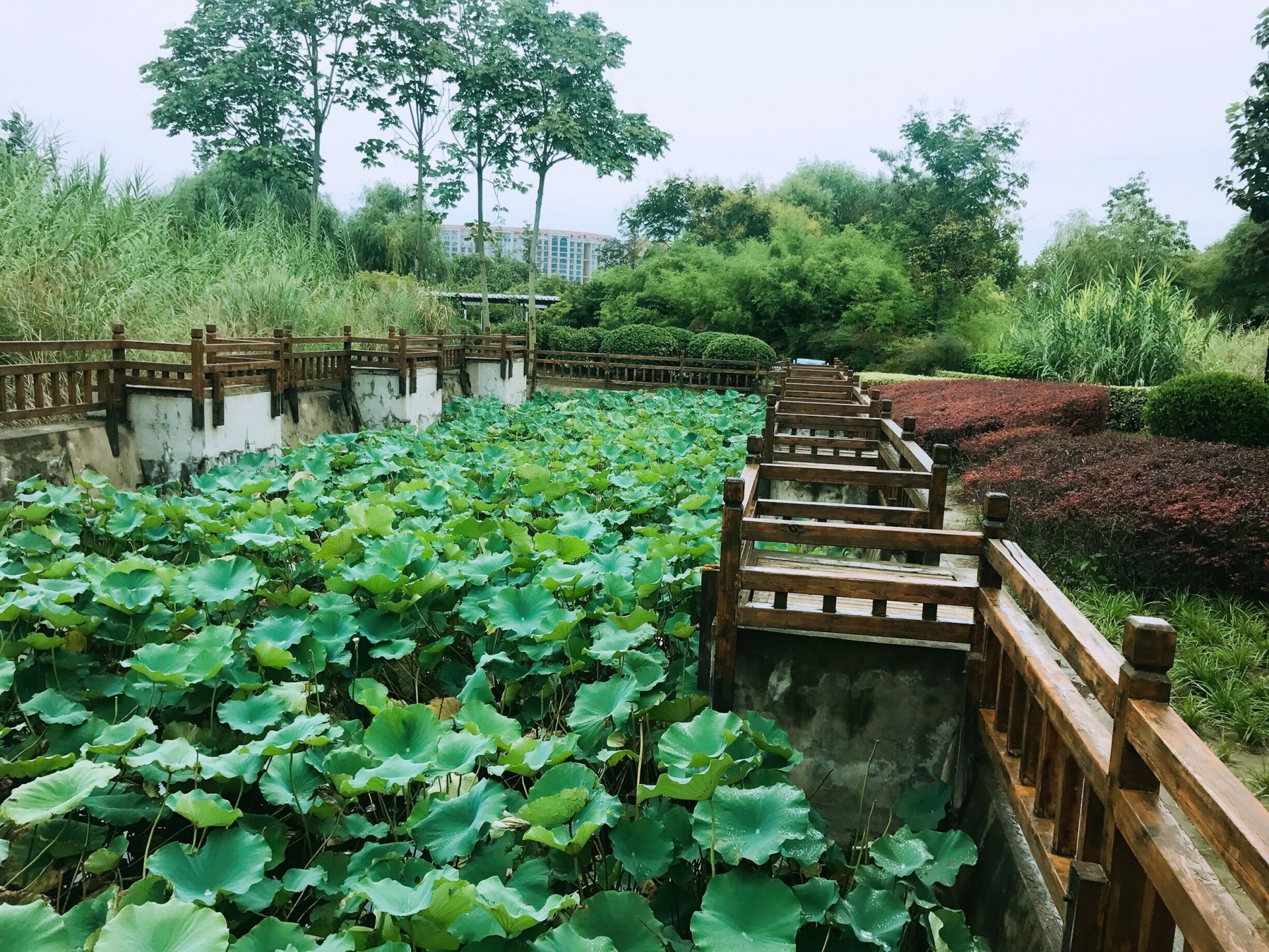 离城市最近的公园,郑州十大城市公园
