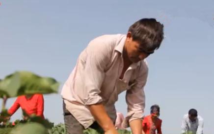 致富路上，不能让少数民族兄弟“掉队”