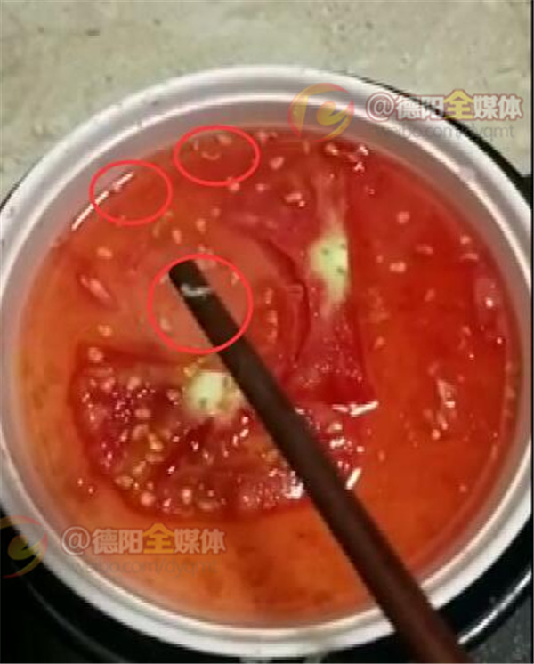 吃番茄不谨慎吃了里面的蛆,火龙果里面吃出蛆