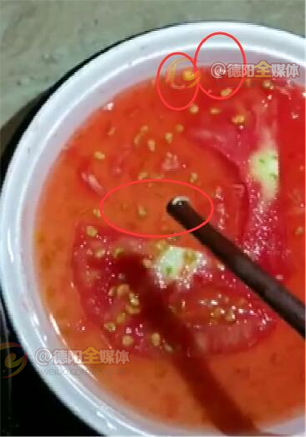 吃番茄不谨慎吃了里面的蛆,火龙果里面吃出蛆