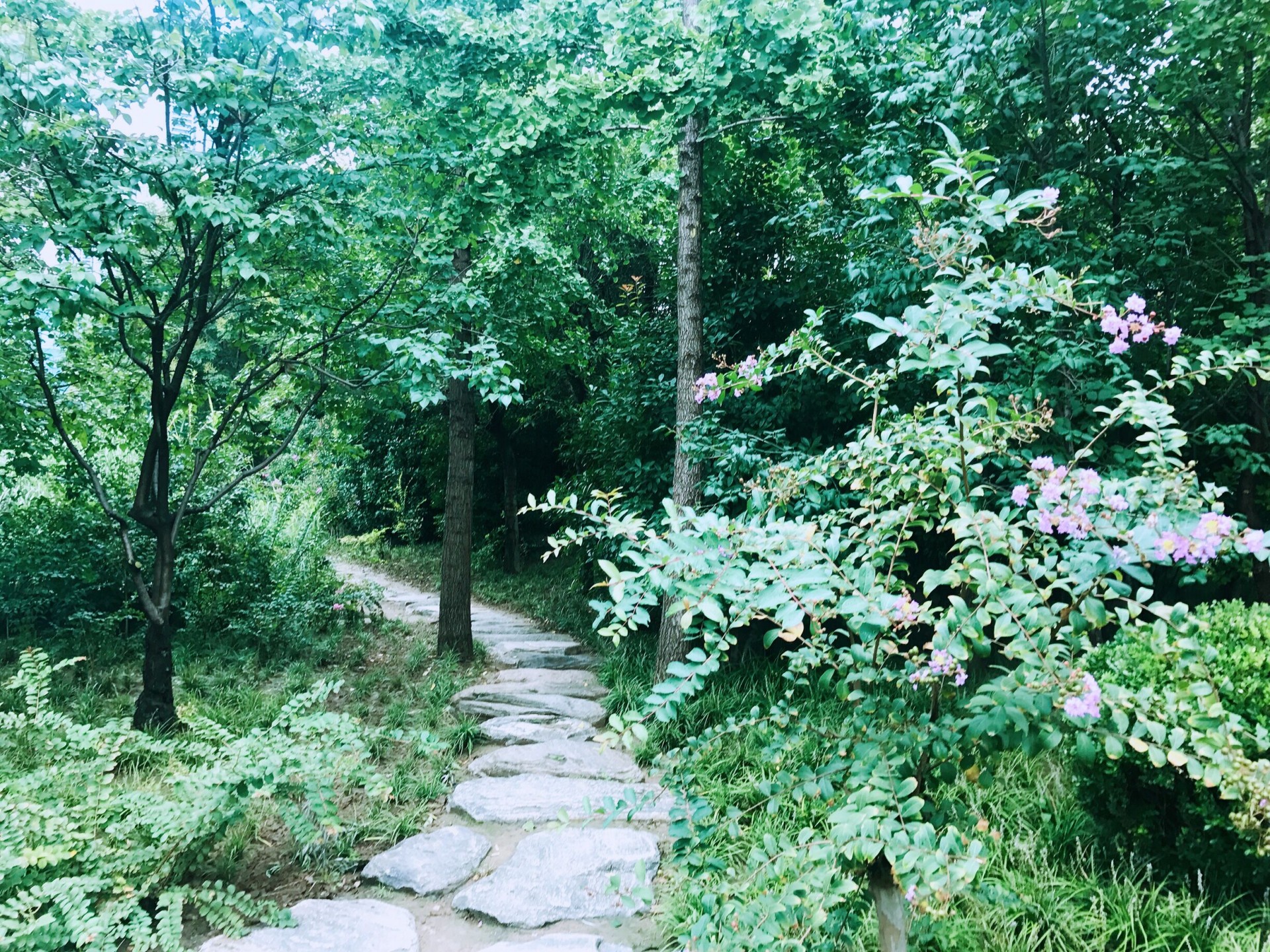 离城市最近的公园,郑州十大城市公园