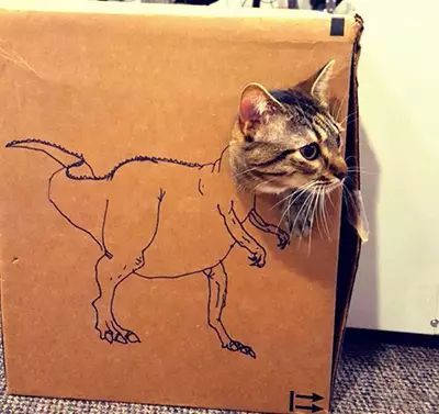 你们几个没氪金的，边儿待着去