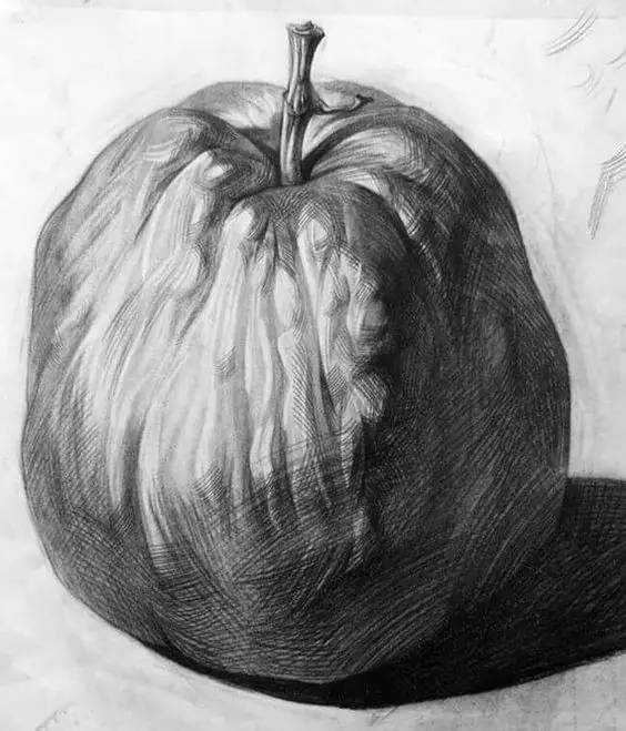 素描静物不会默写,素描不会画光影怎么办