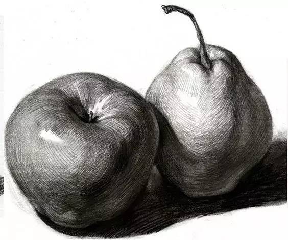 素描静物不会默写,素描不会画光影怎么办