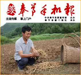 奉节手机报20170904