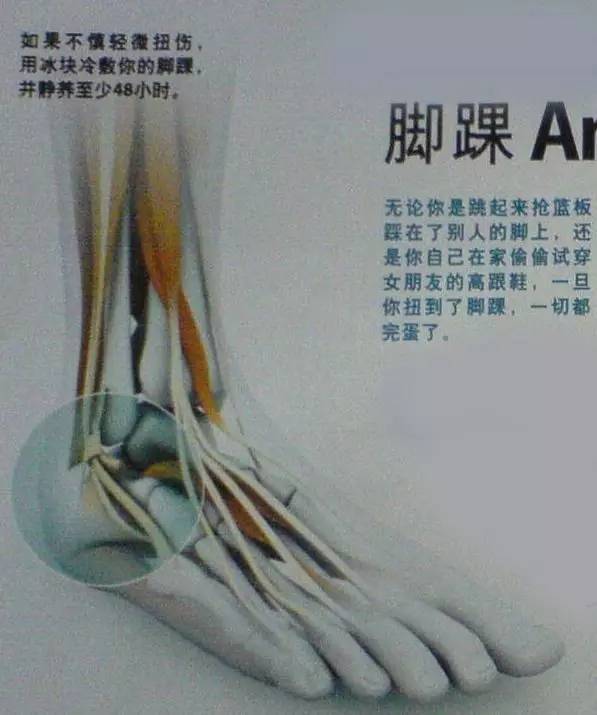 脚踝冷怎么保护,护脚踝防止脚踝过凉