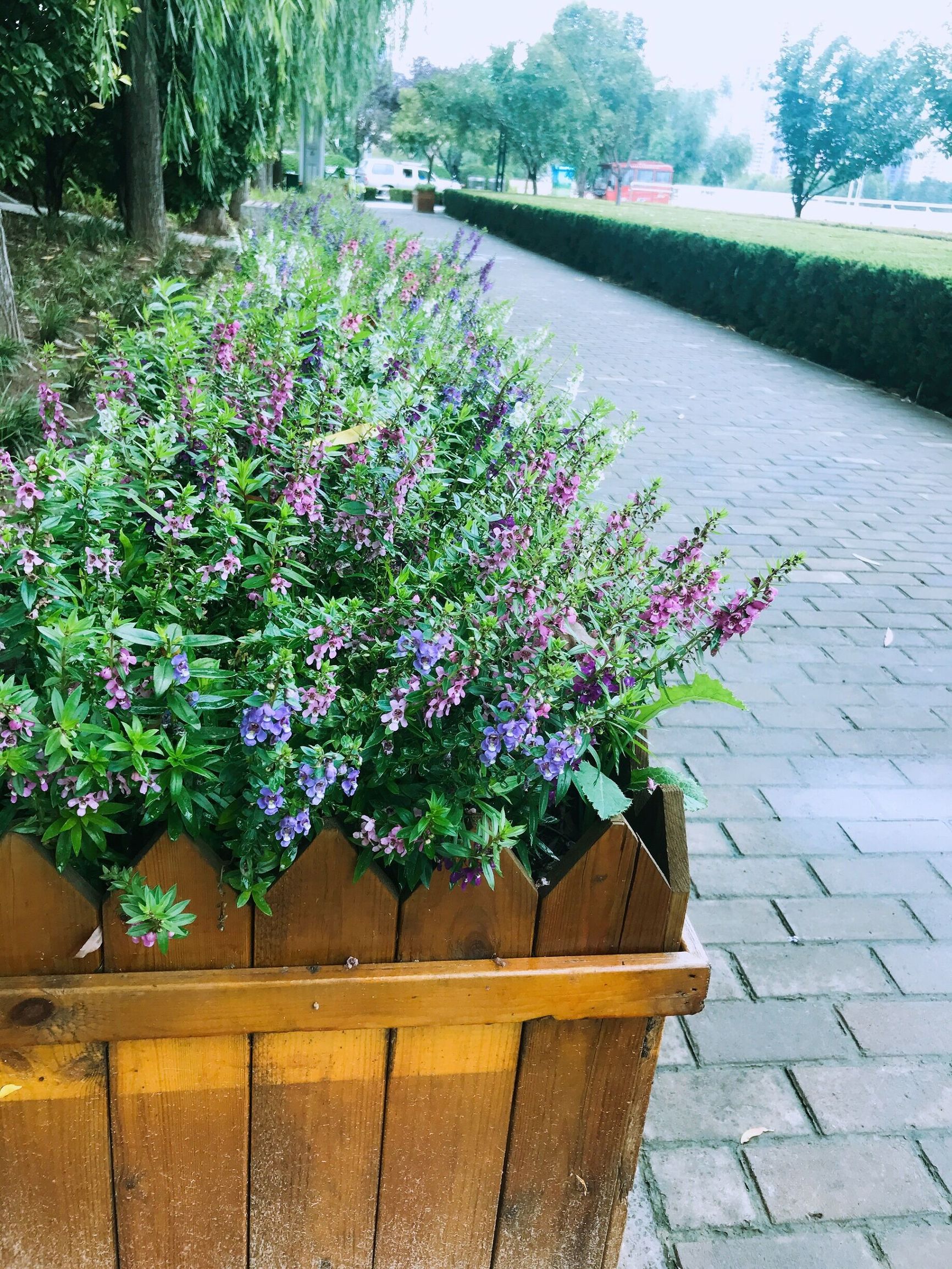 离城市最近的公园,郑州十大城市公园