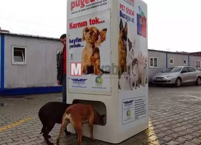 创新公益活动,探索公益创新