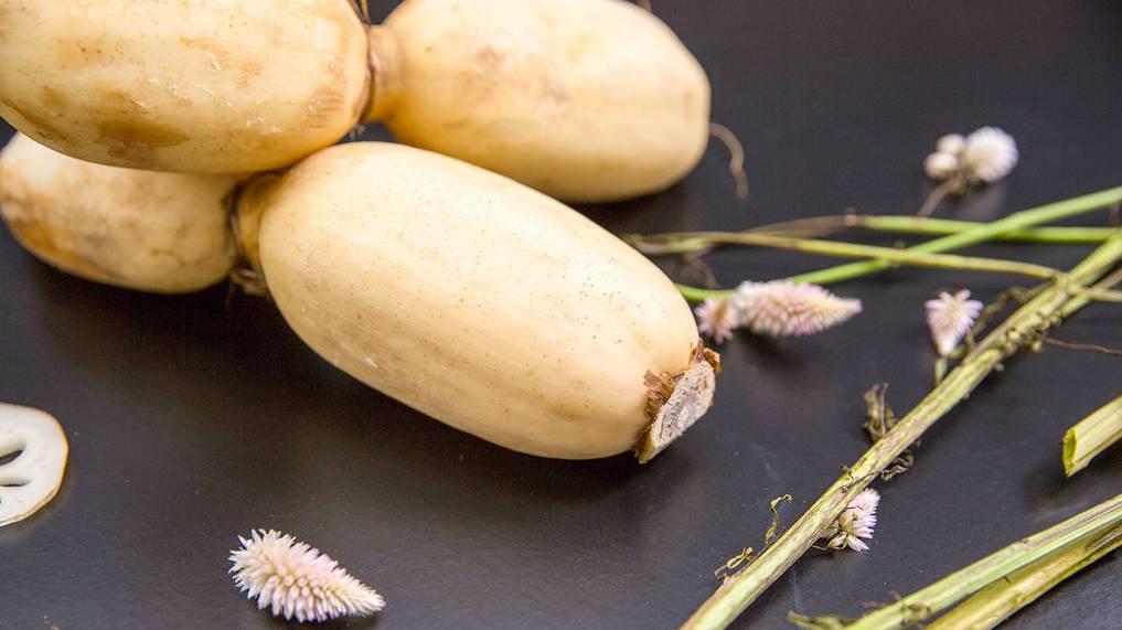 养生好物补气血,补血养生必备好物