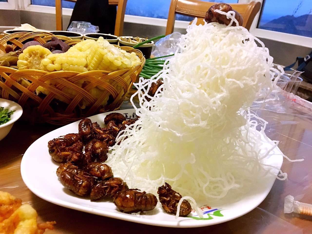 又是一年蒙山夜宿季