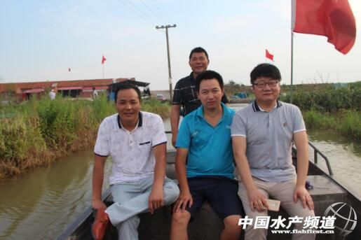 小龙虾属于什么养殖方法,小龙虾怎么养殖个头大