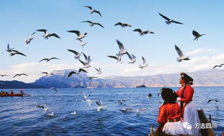 蜀中名士人物介绍,蜀中人物