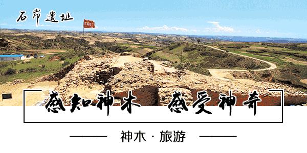 吐血整理干货满满建议收藏,吐血整理的6条建议