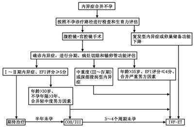 痛经的你要谨慎这六种疾病,痛经淤堵看过来