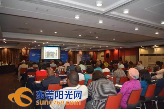 南非钻石茶,南非钻石秘鲁