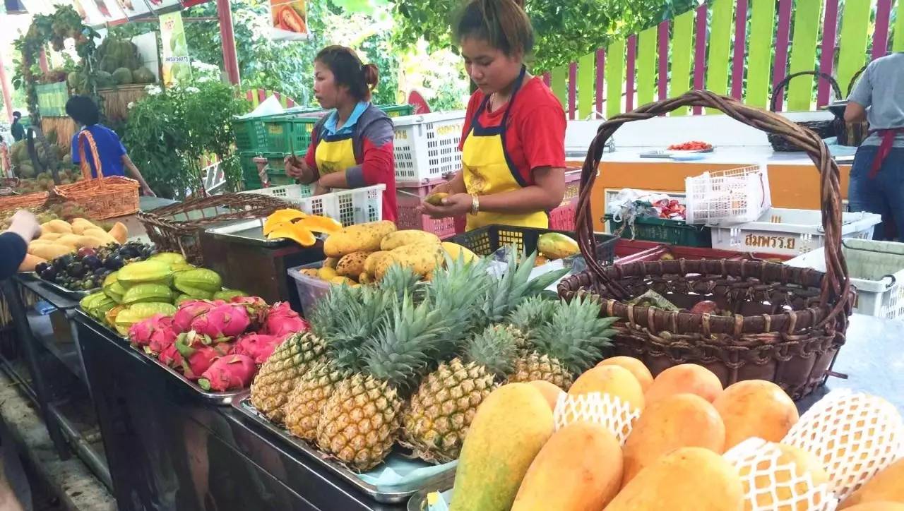 上海去泰国6日游 (上海出发到泰国三日游攻略)