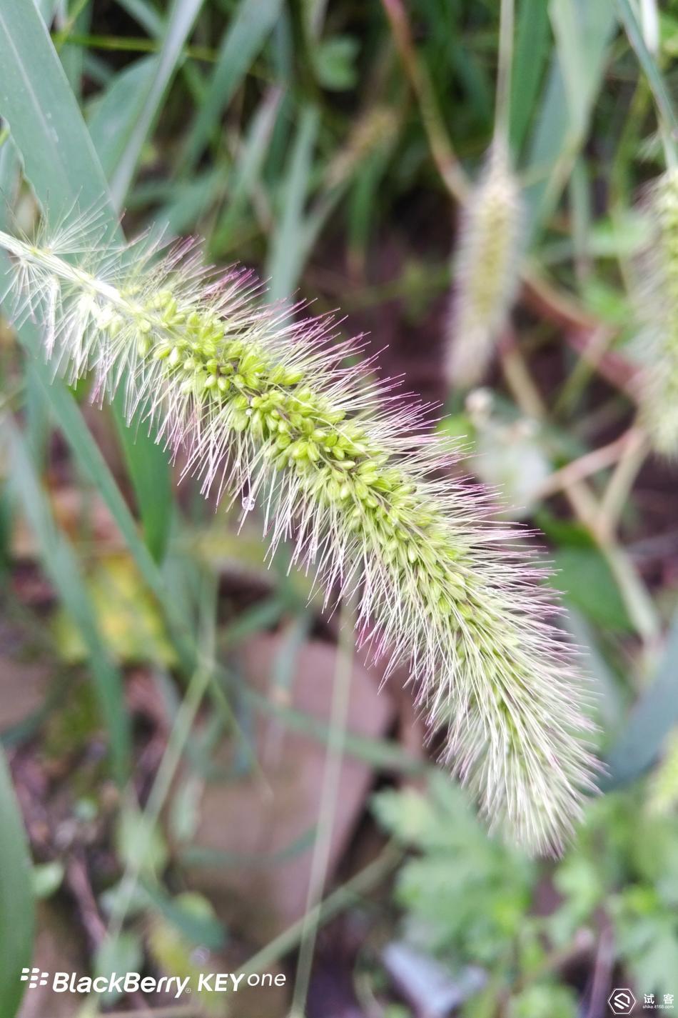 创新和守旧的区别,黑莓手机keyone如何