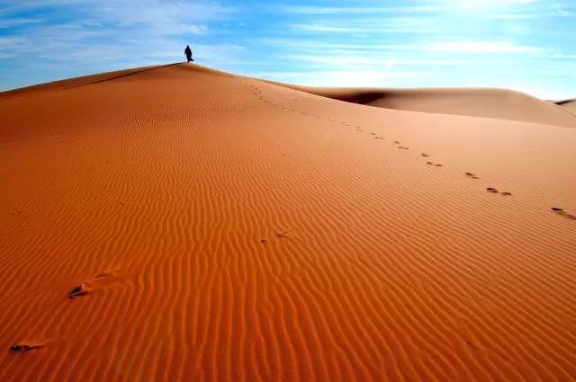 摩洛哥十天九夜自由行攻略 (摩洛哥11月游记)