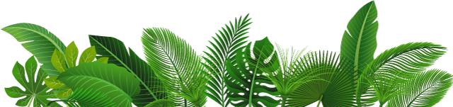 居然有这种操作？！分分钟跟超声医生拉近距离