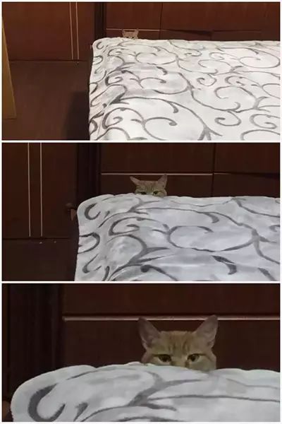 你们几个没氪金的，边儿待着去