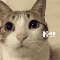 你们几个没氪金的，边儿待着去