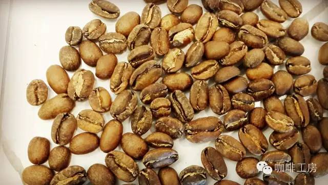 单品咖啡和意式咖啡,咖啡品种科普