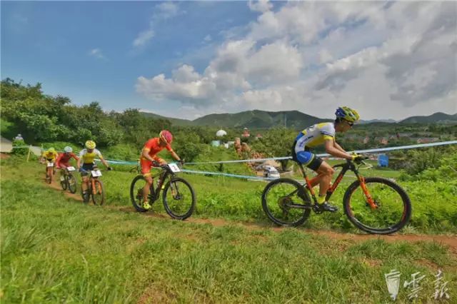 云南健儿奥运获金牌,云南健儿创亚运会历史佳绩