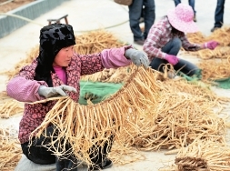 陇南市现代农业,加大投入力度促进农业高质量发展