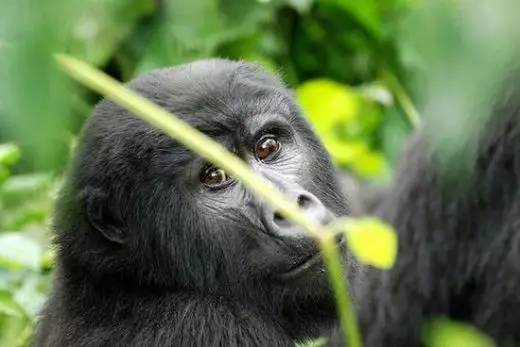 每个人一生中值得去的地方,适合年轻人旅游的十大目的地