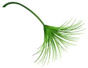 居然有这种操作？！分分钟跟超声医生拉近距离