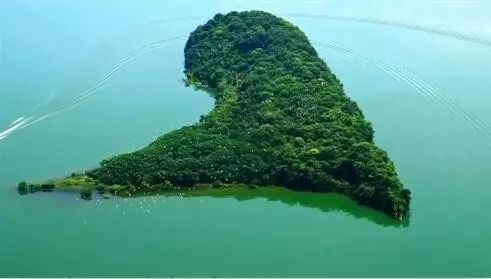 美丽江西秀天下宣传片,美丽江西秀天下央视