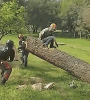 你们几个没氪金的，边儿待着去